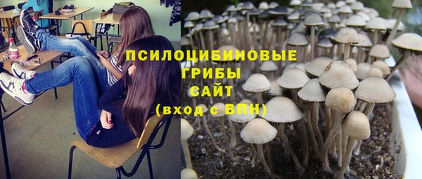 кокаин перу Богданович