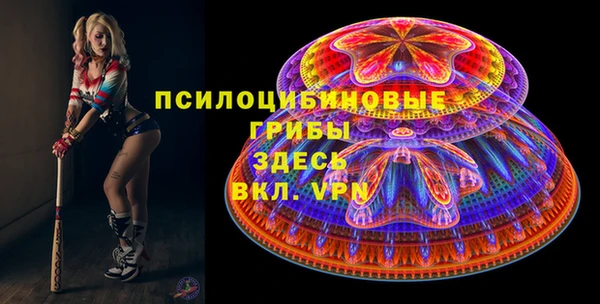 прущие крисы Балахна