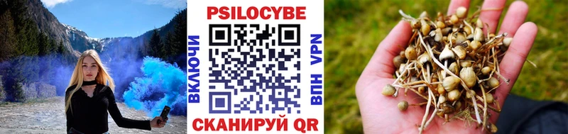 Купить  Магадан  Псилоцибиновые грибы Magic Shrooms 